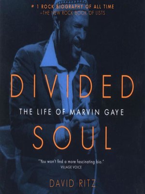 cover image of Divided Soul